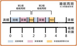 耐氯泳衣怎么选：核对说明、活动频率与护理要求